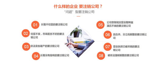 南昌市公司注销报告与商务代理代办服务指南